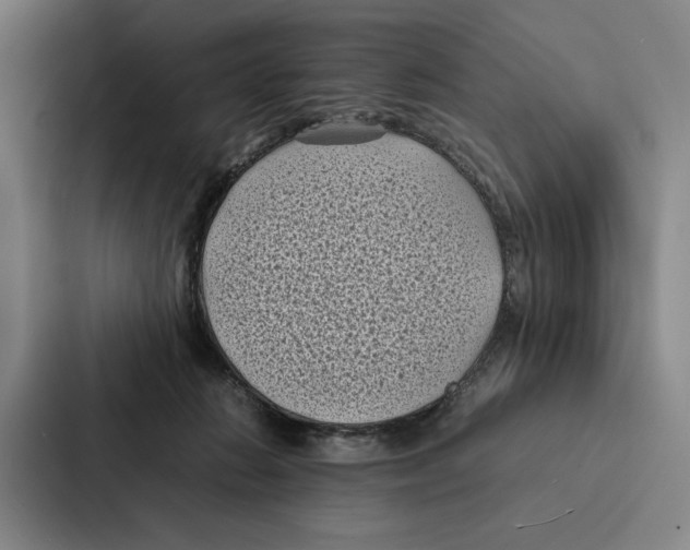 X0000086890270200705141628