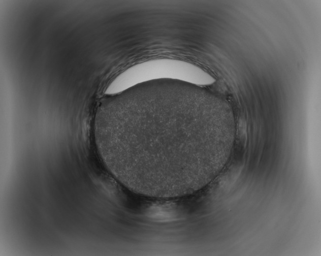 X0000086890271200705141628