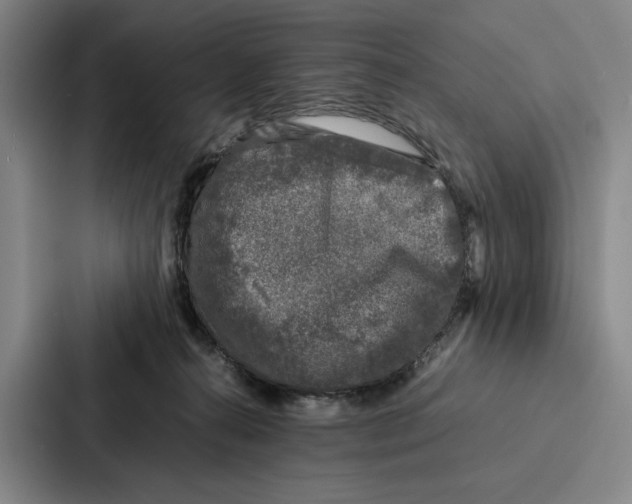 X0000086890272200705141628