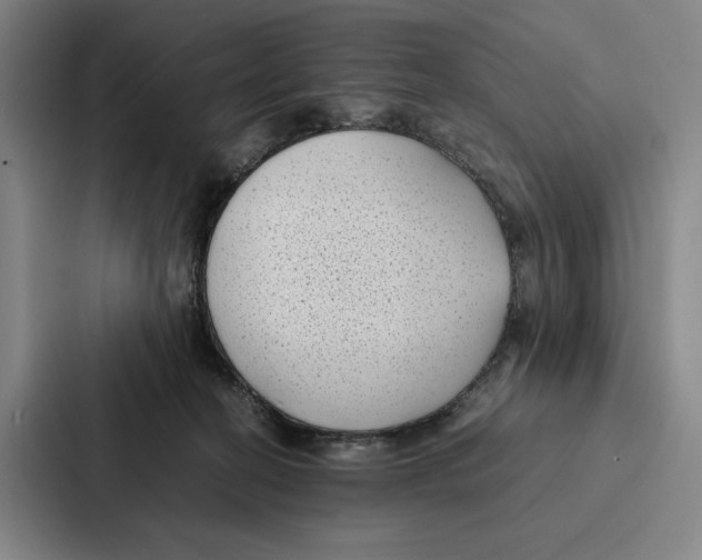 X0000086890274200705141628