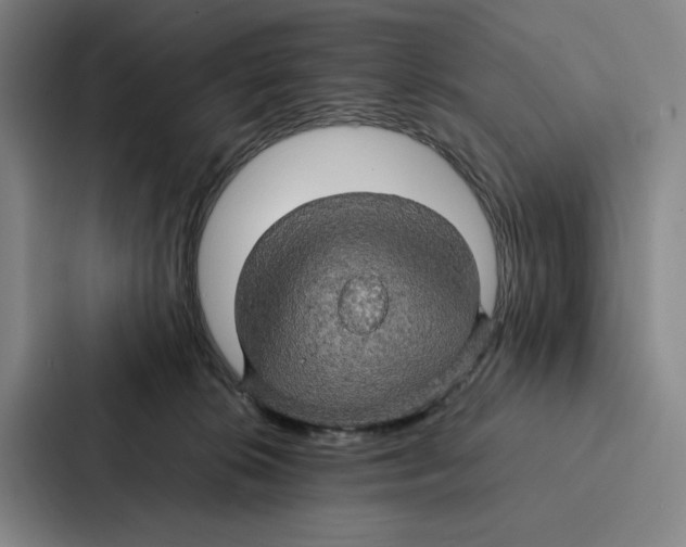 X0000086890276200705141628