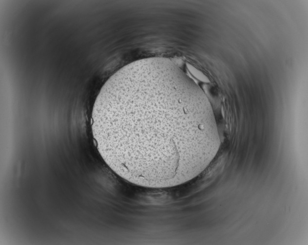 X0000086890279200705141628