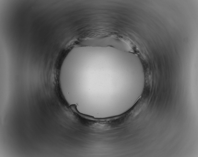 X0000086890280200705141629