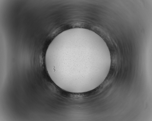 X0000086890282200705141629