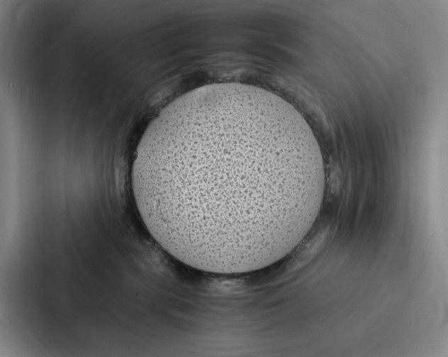 X0000086890283200705141629