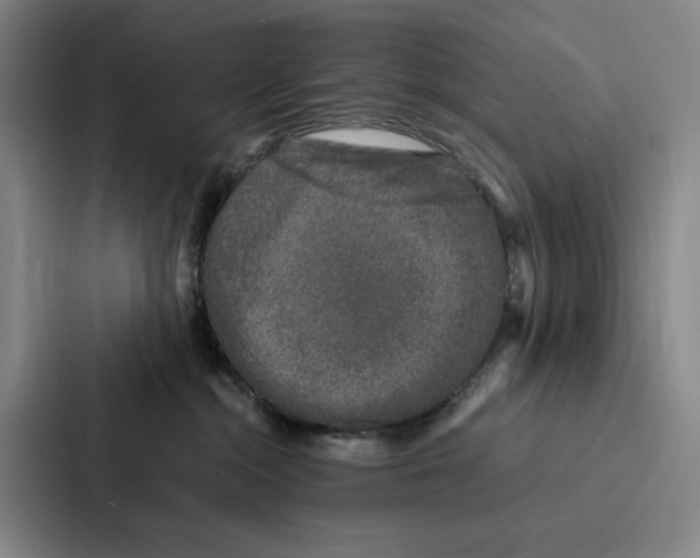 X0000086890284200705141629