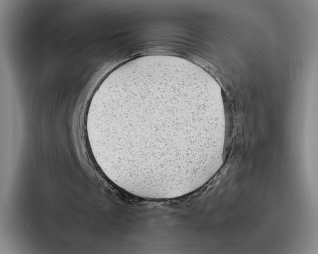 X0000086890289200705141628