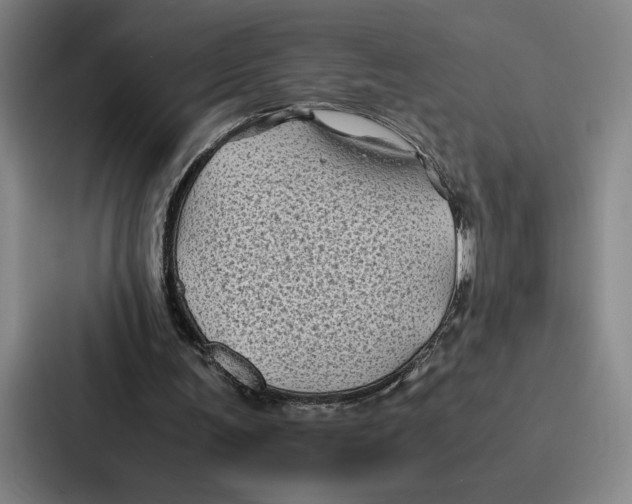 X0000086890291200705141628