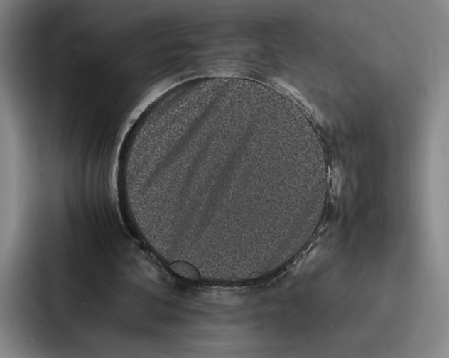 X0000086890292200705141628