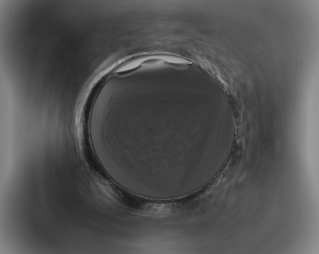 X0000086890295200705141628