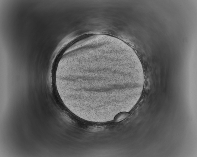 X0000086890296200705141628