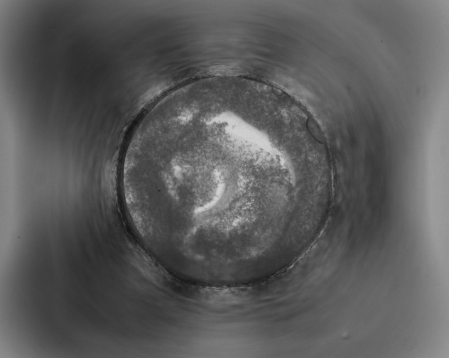 X0000086890297200705141628