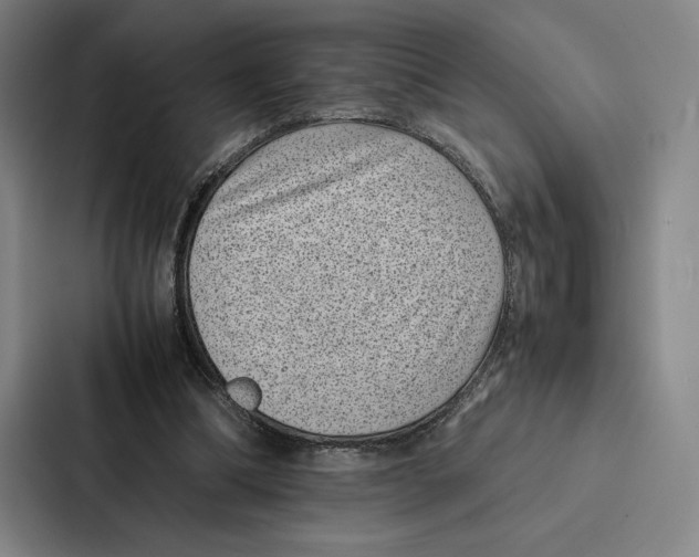 X0000086890298200705141628