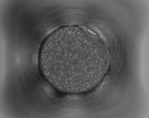 X0000086890299200705141628