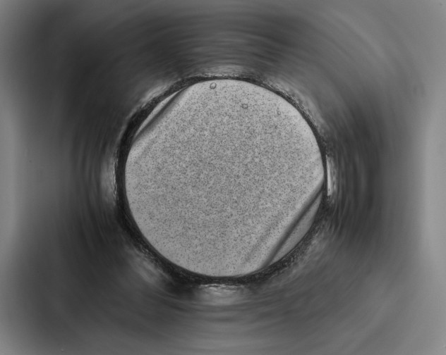 X0000086890300200705141628