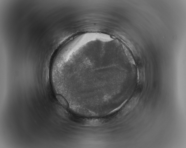 X0000086890301200705141628