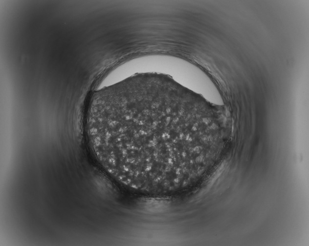 X0000086890303200705141628