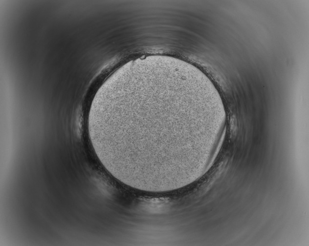 X0000086890304200705141628