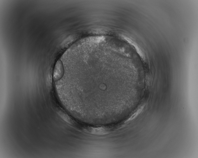 X0000086890309200705141628