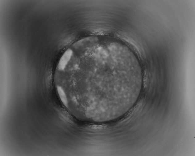 X0000086890314200705141628