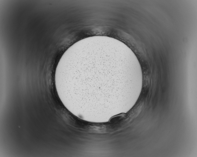 X0000086890317200705141628