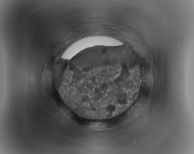 X0000086890319200705141628