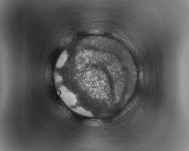 X0000086890322200705141628