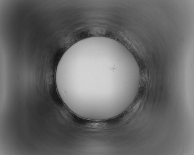 X0000086890323200705141628