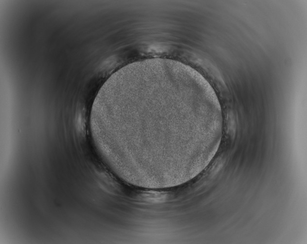 X0000086890328200705141627