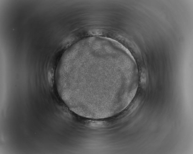 X0000086890332200705141627