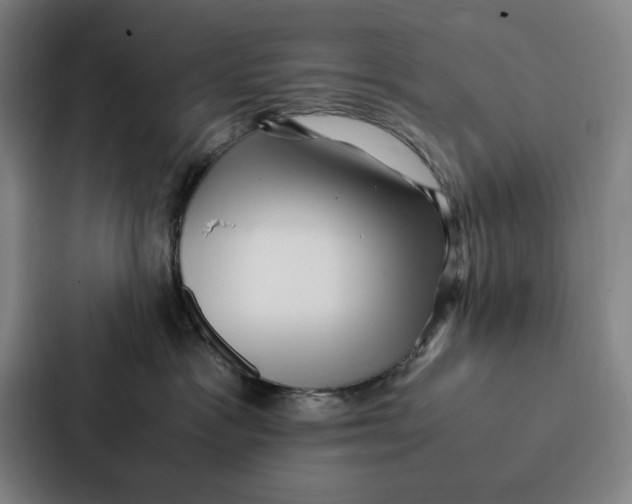 X0000086890333200705141627