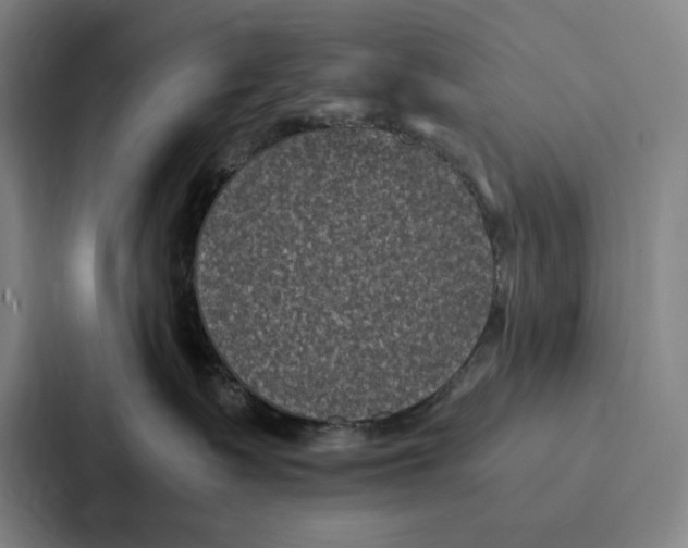 X0000086890335200705141627