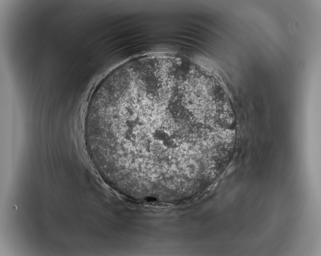 X0000086890337200705141627