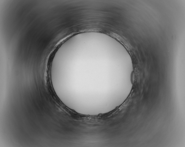 X0000086890338200705141627