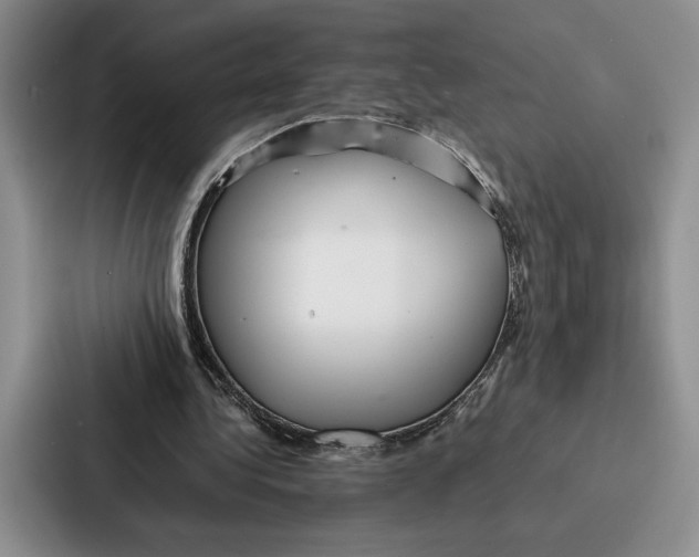 X0000086890340200705141627