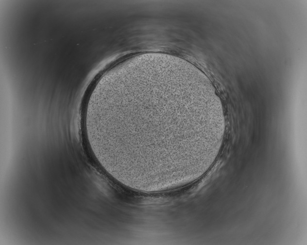 X0000086890342200705141627