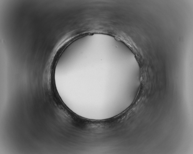 X0000086890344200705141627