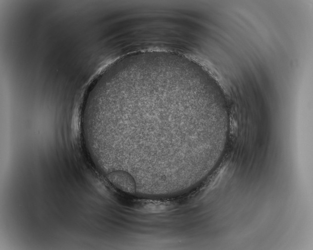 X0000086890347200705141627