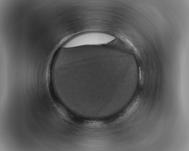 X0000086890348200705141627