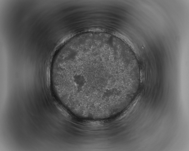 X0000086890349200705141627