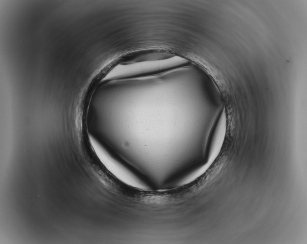 X0000086890350200705141627