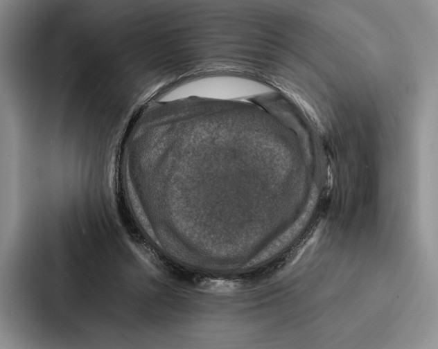 X0000086890352200705141627