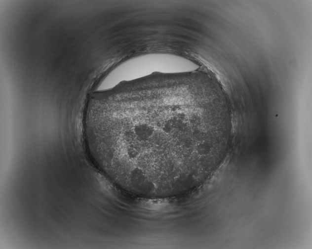 X0000086890353200705141627