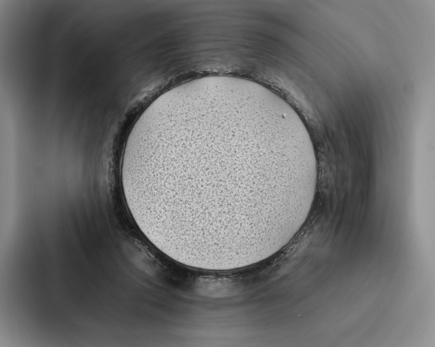 X0000086890354200705141627