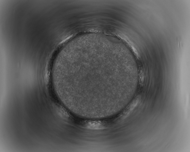 X0000086890355200705141627