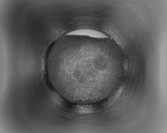 X0000086890359200705141627