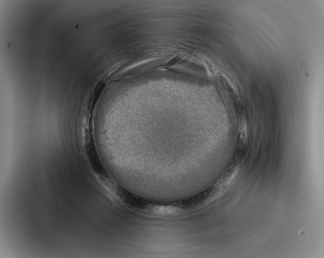 X0000086890360200705141627