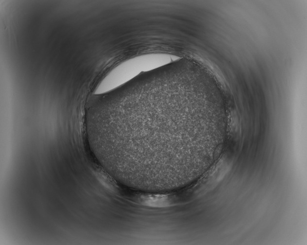 X0000086890361200705141627