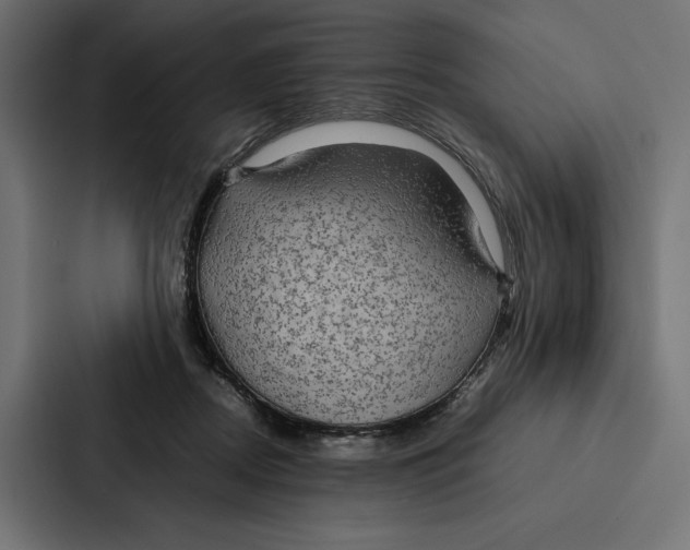 X0000086890362200705141627