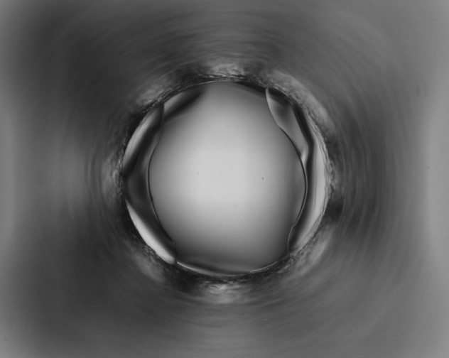 X0000086890364200705141627